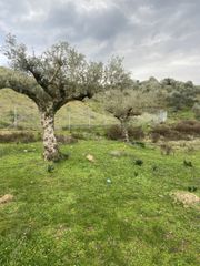 Αγροτεμάχια 14.533 τ.μ. προς πώληση, Μελιγαλάς-thumb-14