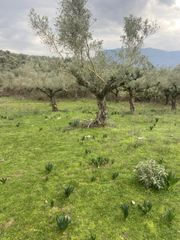 Αγροτεμάχια 14.533 τ.μ. προς πώληση, Μελιγαλάς-thumb-9