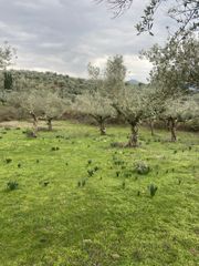 Αγροτεμάχια 14.533 τ.μ. προς πώληση, Μελιγαλάς-thumb-10