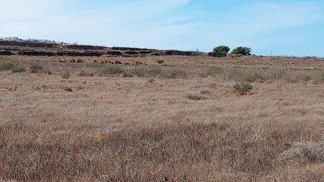 Οικόπεδο 8.479τ.μ. για πώληση-Σαντορίνη