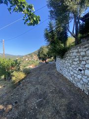 Μονοκατοικία 160 τ.μ. για πώληση, Μεσσηνία, Ιθώμης-thumb-18
