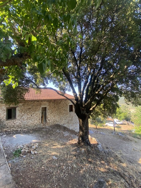 Μονοκατοικία 160 τ.μ. για πώληση, Μεσσηνία, Ιθώμης