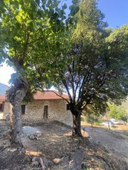Μονοκατοικία 160 τ.μ. για πώληση, Μεσσηνία, Ιθώμης-thumb-2