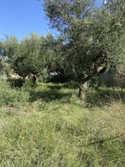 Οικόπεδο 427 τ.μ. για πώληση, Μεσσηνία, Θουρία-thumb-5