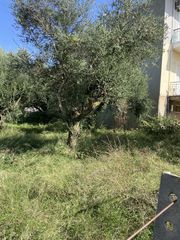 Οικόπεδο 427 τ.μ. για πώληση, Μεσσηνία, Θουρία-thumb-6