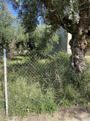 Οικόπεδο 427 τ.μ. για πώληση, Μεσσηνία, Θουρία-thumb-11
