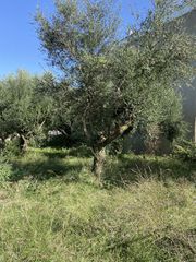 Οικόπεδο 427 τ.μ. για πώληση, Μεσσηνία, Θουρία-thumb-12