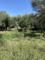 Οικόπεδο 427 τ.μ. για πώληση, Μεσσηνία, Θουρία-thumb-4