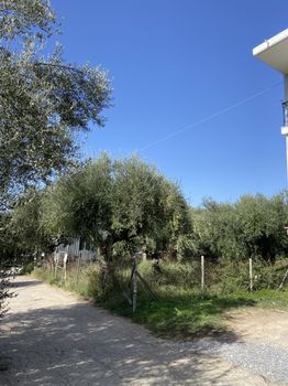 Οικόπεδο 427τ.μ. για πώληση-Θουρία