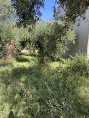 Οικόπεδο 427 τ.μ. για πώληση, Μεσσηνία, Θουρία-thumb-3
