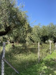 Οικόπεδο 427 τ.μ. για πώληση, Μεσσηνία, Θουρία-thumb-1