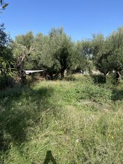 Οικόπεδο 427 τ.μ. για πώληση, Μεσσηνία, Θουρία-thumb-7