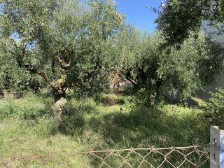 Οικόπεδο 427 τ.μ. για πώληση, Μεσσηνία, Θουρία-thumb-10