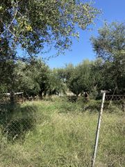 Οικόπεδο 427 τ.μ. για πώληση, Μεσσηνία, Θουρία-thumb-9