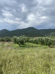 Οικόπεδο 800 τ.μ. για πώληση