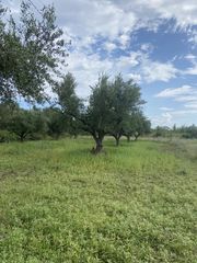 Οικόπεδο 800 τ.μ. για πώληση