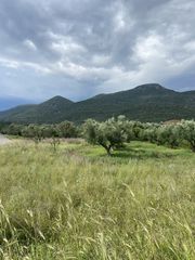Οικόπεδο 800 τ.μ. για πώληση, Μεσσηνία, Αρφαρά-thumb-6