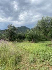 Οικόπεδο 800 τ.μ. για πώληση