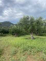 Οικόπεδο 800 τ.μ. για πώληση
