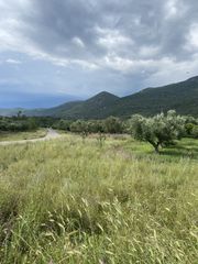 Οικόπεδο 800 τ.μ. για πώληση, Μεσσηνία, Αρφαρά-thumb-5