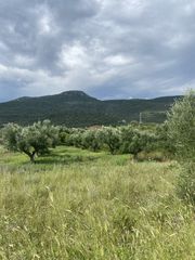 Οικόπεδο 800 τ.μ. για πώληση, Μεσσηνία, Αρφαρά-thumb-7