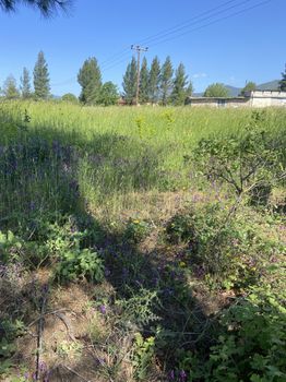 Οικόπεδο 950τ.μ. για πώληση-Δώριο