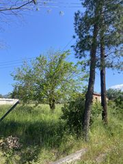 Οικόπεδο 950 τ.μ. για πώληση, Μεσσηνία, Δώριο-thumb-5