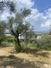 Οικόπεδο 884 τ.μ. προς πώληση, Αίθαια-thumb-1