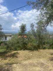 Οικόπεδο 884 τ.μ. προς πώληση, Αίθαια-thumb-2