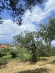 Οικόπεδο 884 τ.μ. προς πώληση, Αίθαια-thumb-5