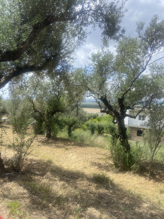 Οικόπεδο 884 τ.μ. προς πώληση, Αίθαια