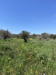 Οικόπεδο 3.000 τ.μ. για πώληση, Μεσσηνία, Δώριο-thumb-7