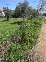 Οικόπεδο 3.000 τ.μ. για πώληση, Μεσσηνία, Δώριο-thumb-2