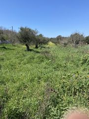 Οικόπεδο 3.000 τ.μ. για πώληση, Μεσσηνία, Δώριο-thumb-3