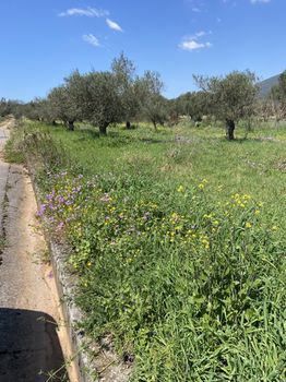 Οικόπεδο 3.000τ.μ. για πώληση-Δώριο