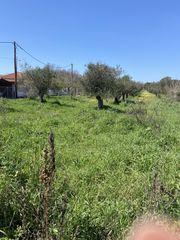 Οικόπεδο 3.000 τ.μ. για πώληση, Μεσσηνία, Δώριο-thumb-4