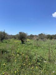 Οικόπεδο 3.000 τ.μ. για πώληση, Μεσσηνία, Δώριο-thumb-8