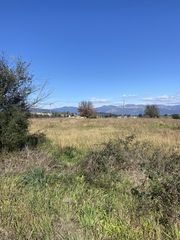 Αγροτεμάχια 5.000 τ.μ. προς πώληση, Μελιγαλάς-thumb-5