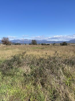 Αγροτεμάχια 5.000τ.μ. για πώληση-Μελιγαλά