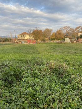 Οικόπεδο 1.600τ.μ. για πώληση-Μελιγαλά