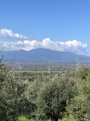 Αγροτεμάχια 24.500 τ.μ. για πώληση, Μεσσηνία, Οιχαλία-thumb-7