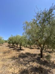 Αγροτεμάχια 13.800 τ.μ. προς πώληση, Μελιγαλάς-thumb-1