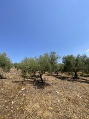 Αγροτεμάχια 13.800 τ.μ. προς πώληση, Μελιγαλάς-thumb-2