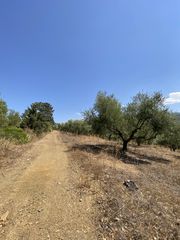 Αγροτεμάχια 13.800 τ.μ. προς πώληση, Μελιγαλάς-thumb-9