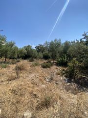 Αγροτεμάχια 13.800 τ.μ. προς πώληση, Μελιγαλάς-thumb-12