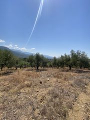 Αγροτεμάχια 13.800 τ.μ. προς πώληση, Μελιγαλάς-thumb-11