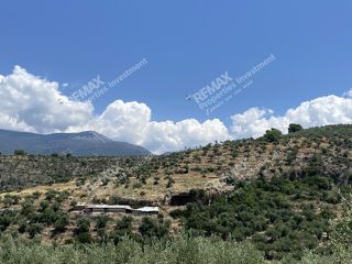Οικόπεδο 22.000 τ.μ. για πώληση, Μεσσηνία, Αβία-thumb-1
