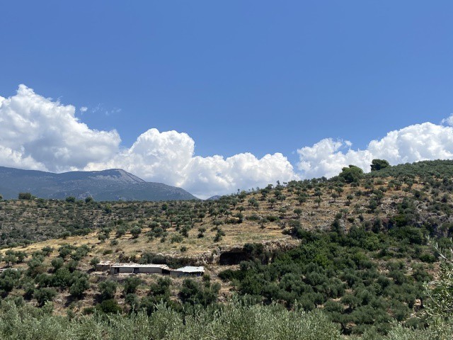 Οικόπεδο 22.000 τ.μ. για πώληση, Μεσσηνία, Αβία