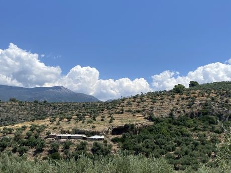 Οικόπεδο 22.000τ.μ. για πώληση-Αβία