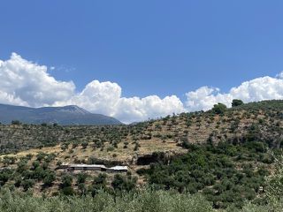 Οικόπεδο 22.000 τ.μ. για πώληση